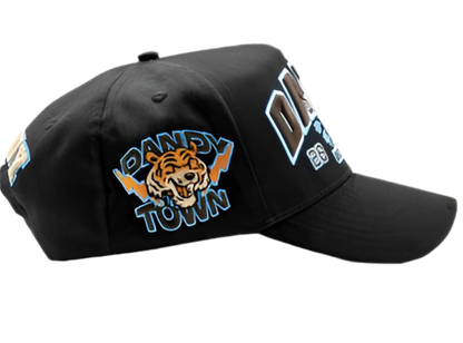 DANDY HATS "DANDY UNIVERSITY "